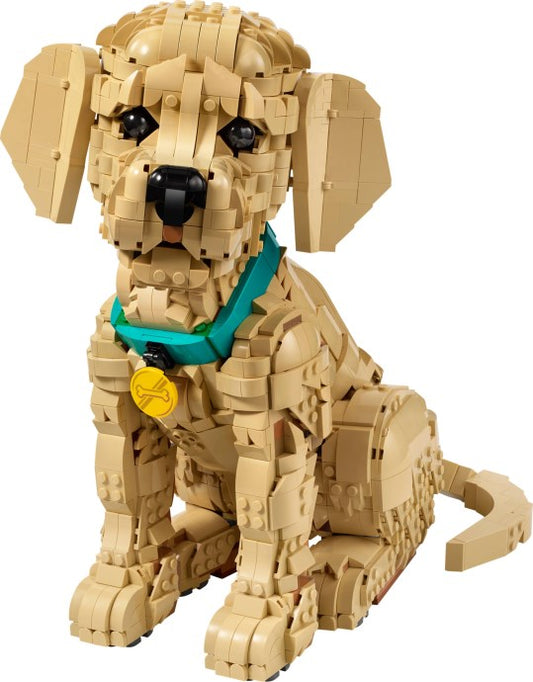 Set 11384-1