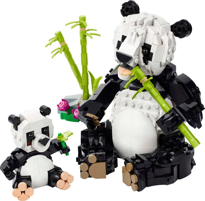 Set 31165-1